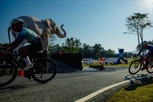 BIB: 
                            <button type="button" onclick="openModal(26182983)" class="btn btn-primary btn-sm float-right btn-popup" data-toggle="modal" data-target=".modal-high-quality">
                        <i class="fas fa-shopping-cart"></i> Add to Cart
                    </button>
                                            <button type="button" onclick="isThisMe(26182983, true)" class="btn btn-success btn-sm float-right btn-popup btn-isme hidden" data-toggle="tooltip" data-placement="bottom" title="นี่คือรูปของคุณใช่ไหม คลิกที่นี่เพื่อเอาเข้าอัลบั้ม">
                        <i class="fas fa-plus"></i> Add to album
                    </button>
                    <button type="button" onclick="isThisMe(26182983, false)" class="btn btn-warning btn-sm float-right btn-popup btn-isnotme hidden">
                        <i class="fas fa-ban"></i> Remove from album
                    </button>